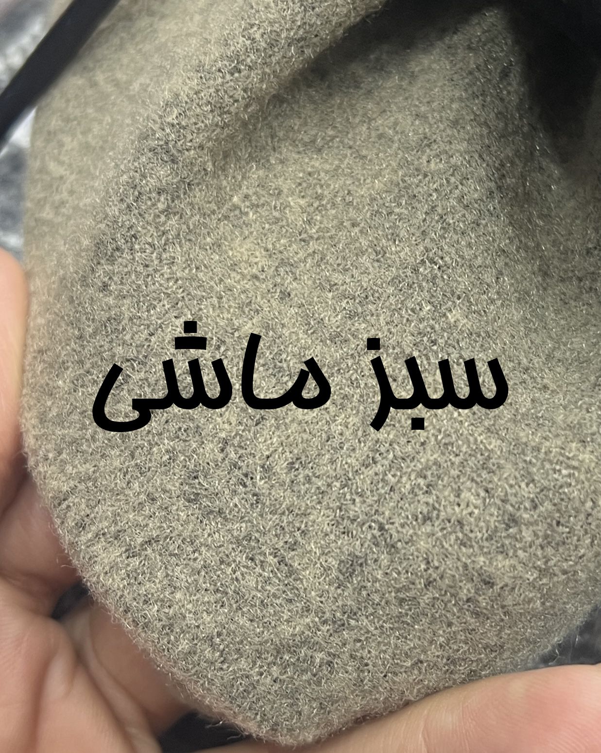 پالتو-روناک